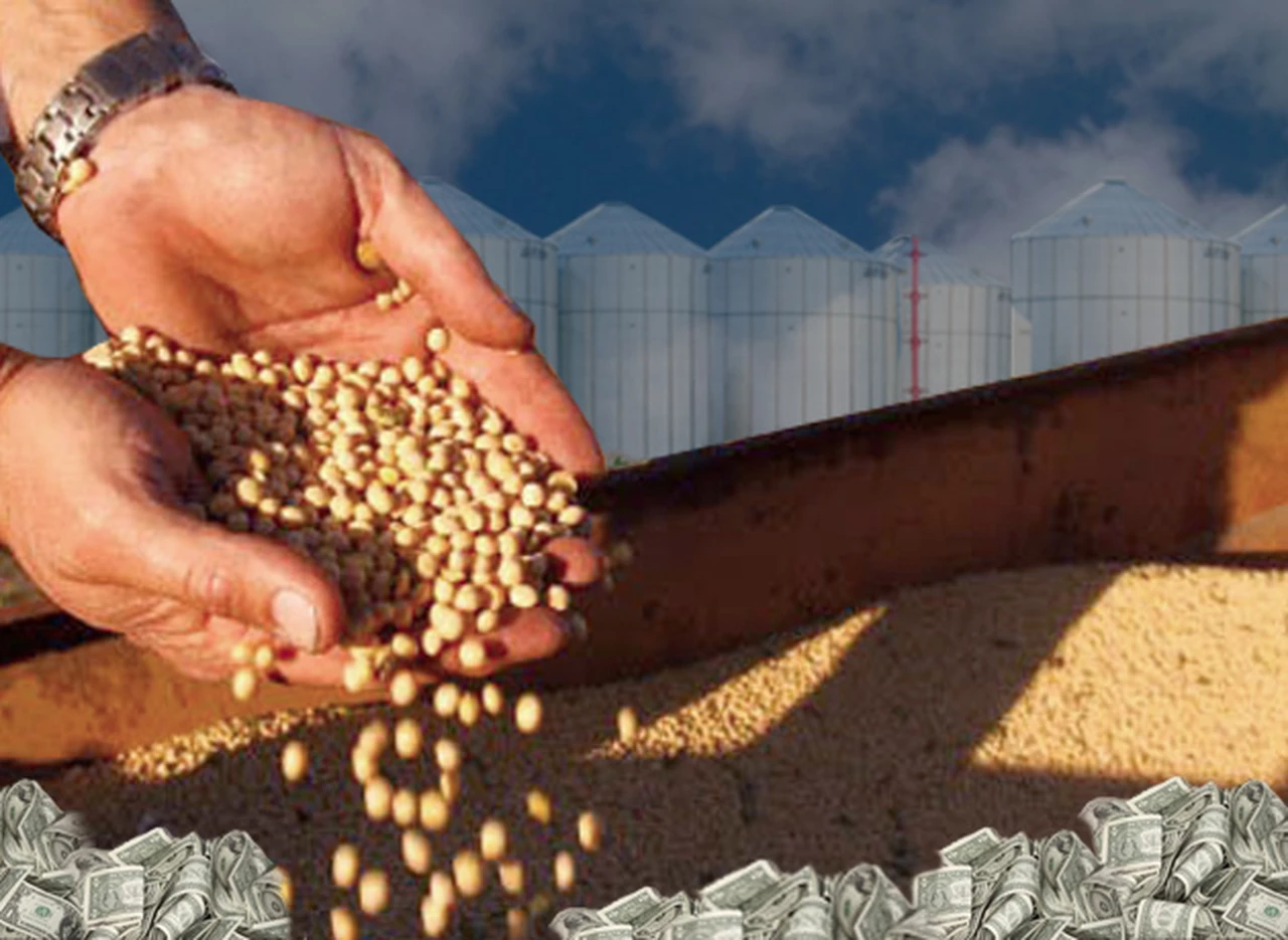 "Agro boom": el negocio ahora está en las semillas y las multinacionales refuerzan su presencia en la Argentina