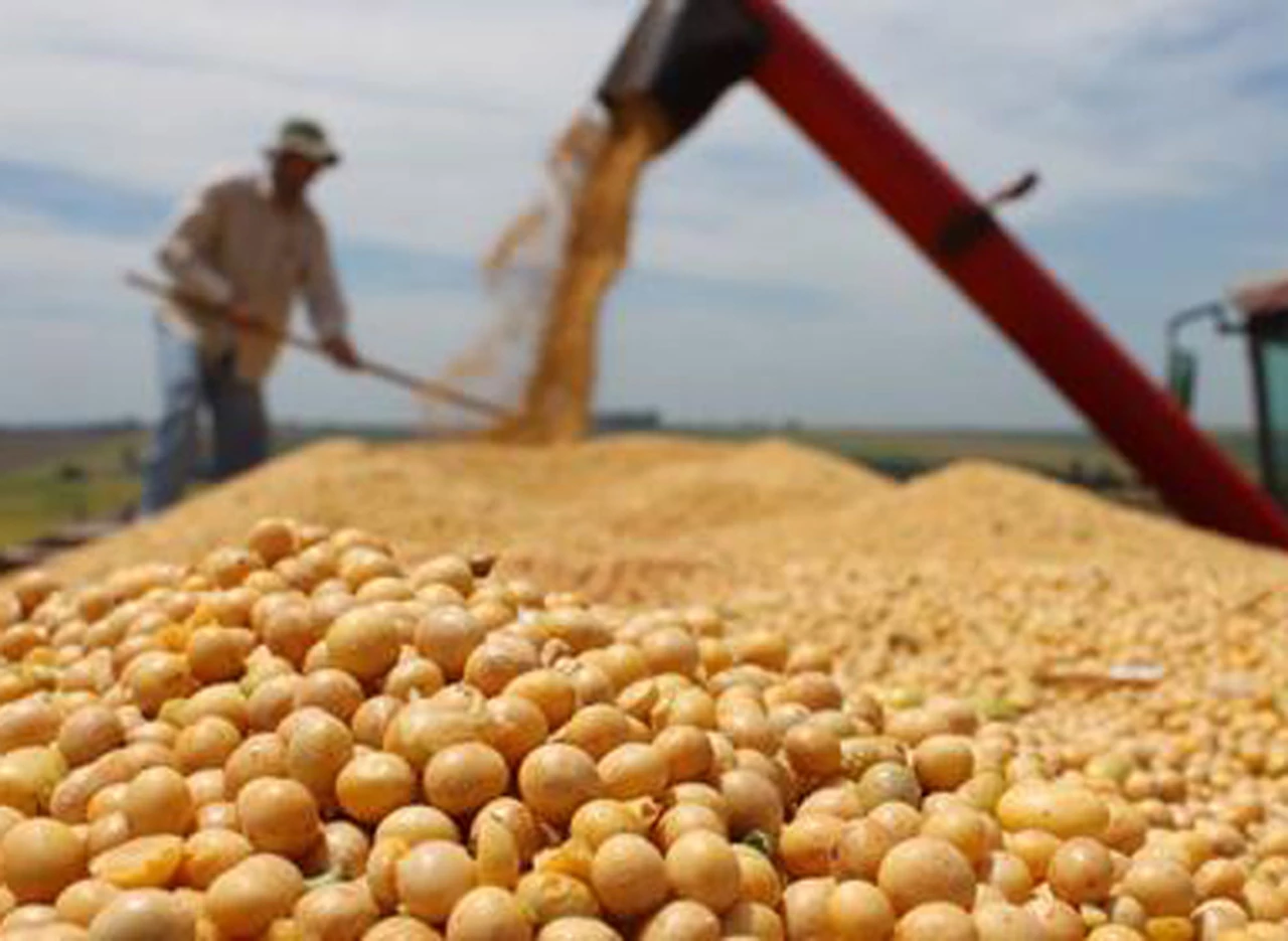 La próxima cosecha de soja argentina serí­a menor a la de la temporada anterior