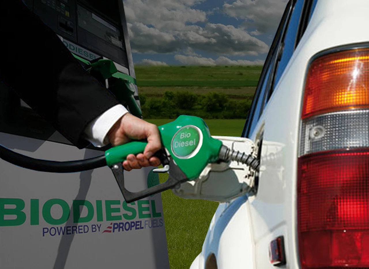 Biodiesel y la pregunta "incómoda": por qué el Gobierno busca reactivar una industria en terapia intensiva