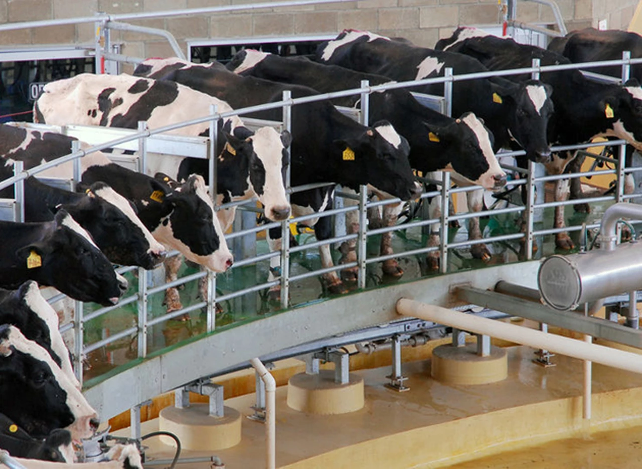 Los tamberos se suman al paro de productores y hoy no entregarán leche