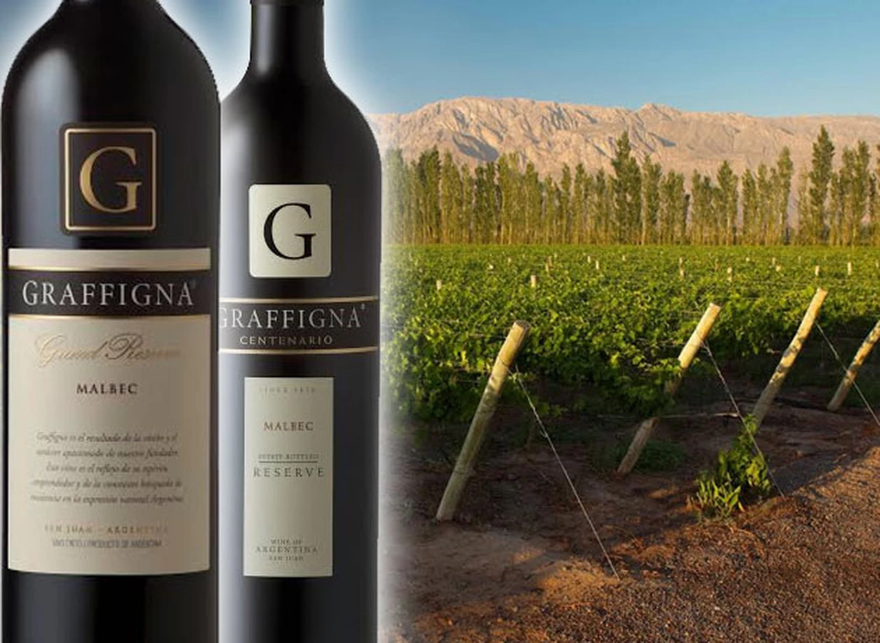 Bodega Graffigna: sí­ntesis de historia e innovación en el mundo del vino