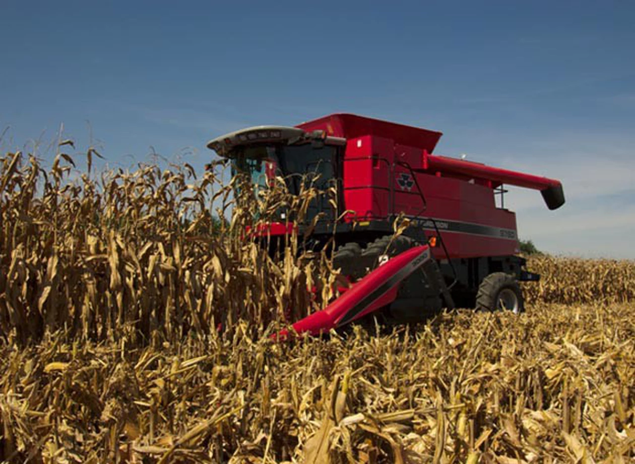Argentina elevó sus estimaciones para la actual cosecha de soja y maí­z