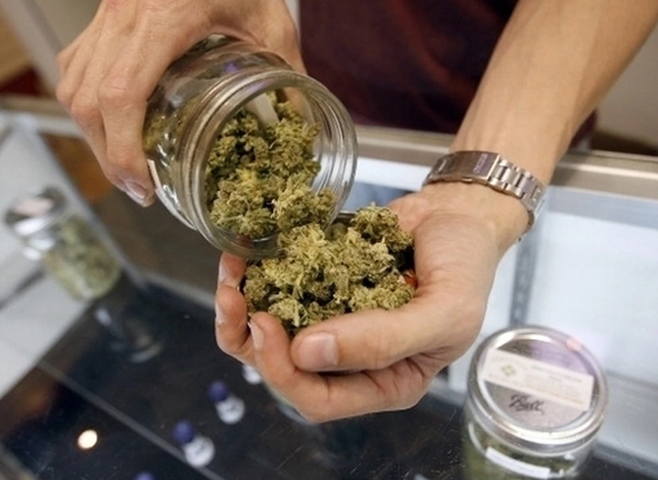 Uruguay comenzó a registrar los primeros "clubes de marihuana"