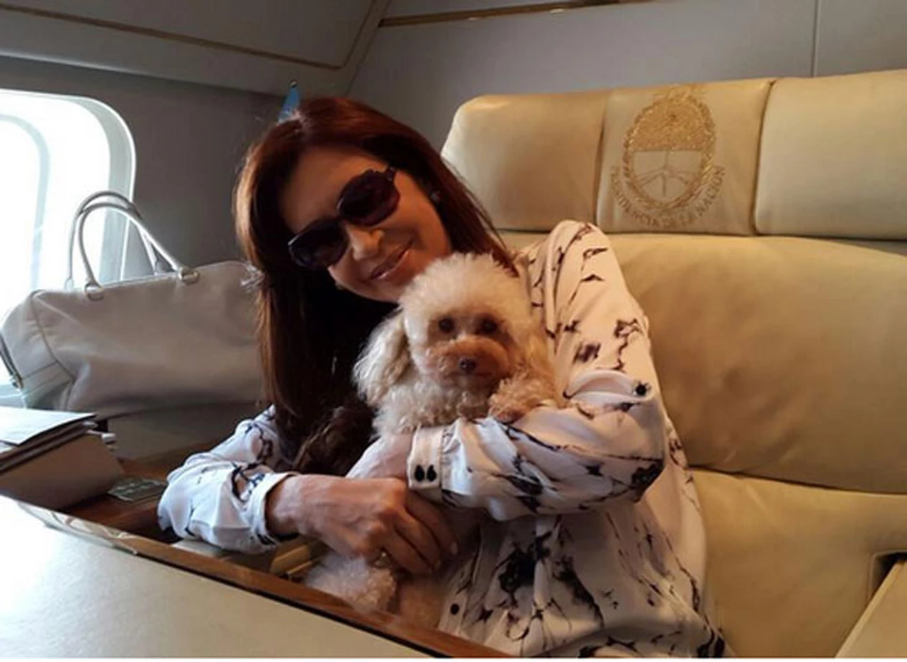 Junto a su perrita, Cristina anunció que las mascotas podrán viajar en avión