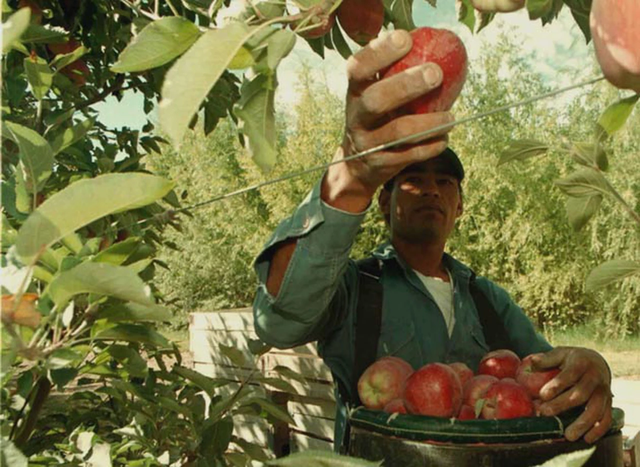 Brasil amenaza con bloquear la importación de manzanas argentinas