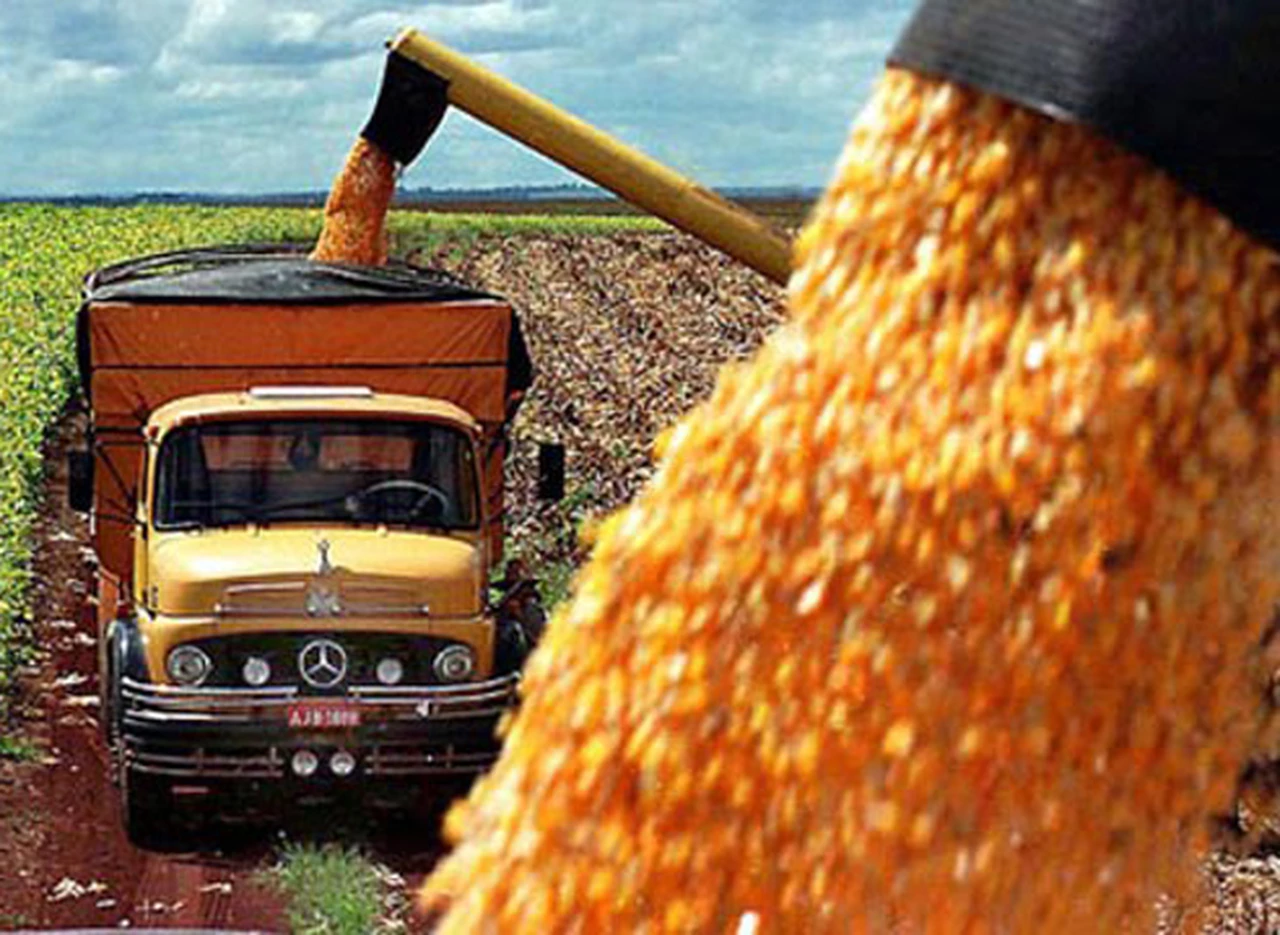 En marzo aumentará 22% el costo de los fletes para transportar granos
