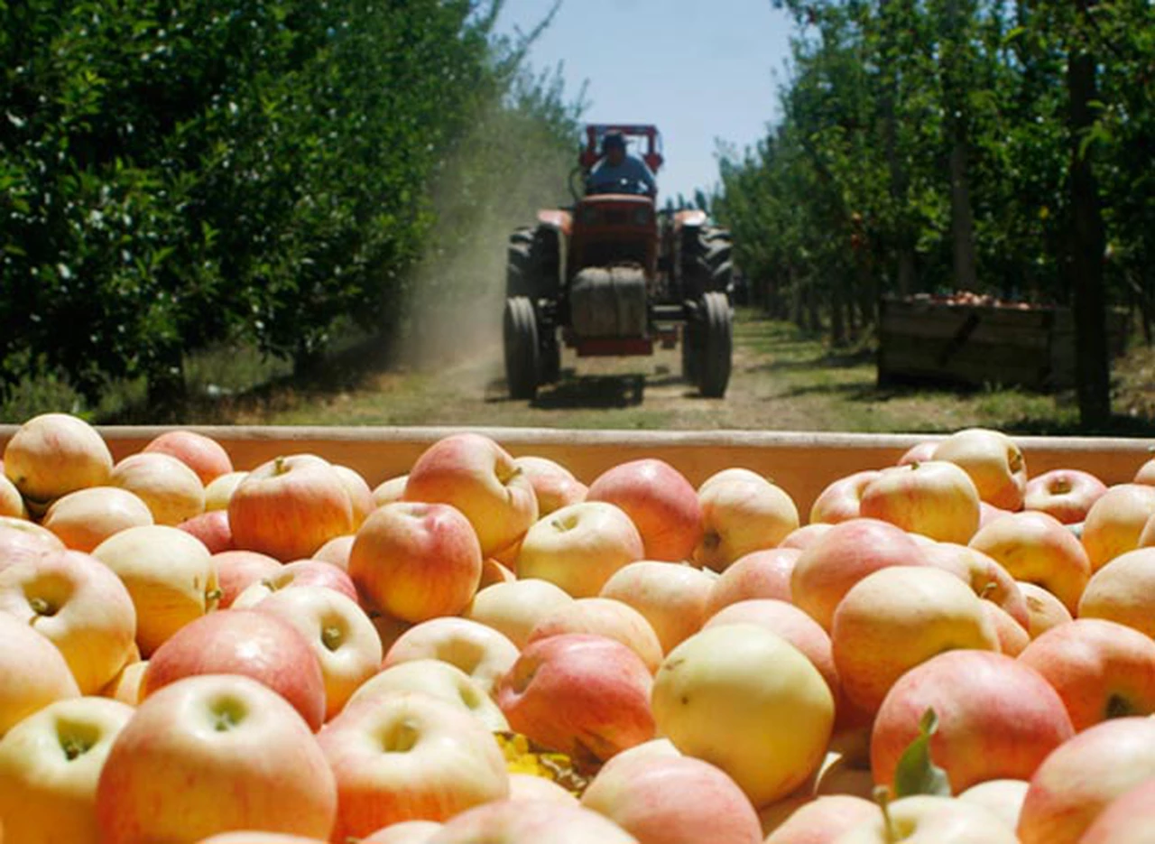 Brasil suspendió la importación de peras y manzanas argentinas