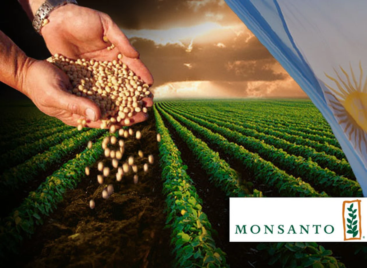 Una fortuna en juego: Monsanto, campo y Gobierno ultiman cambios en el negocio de la soja 