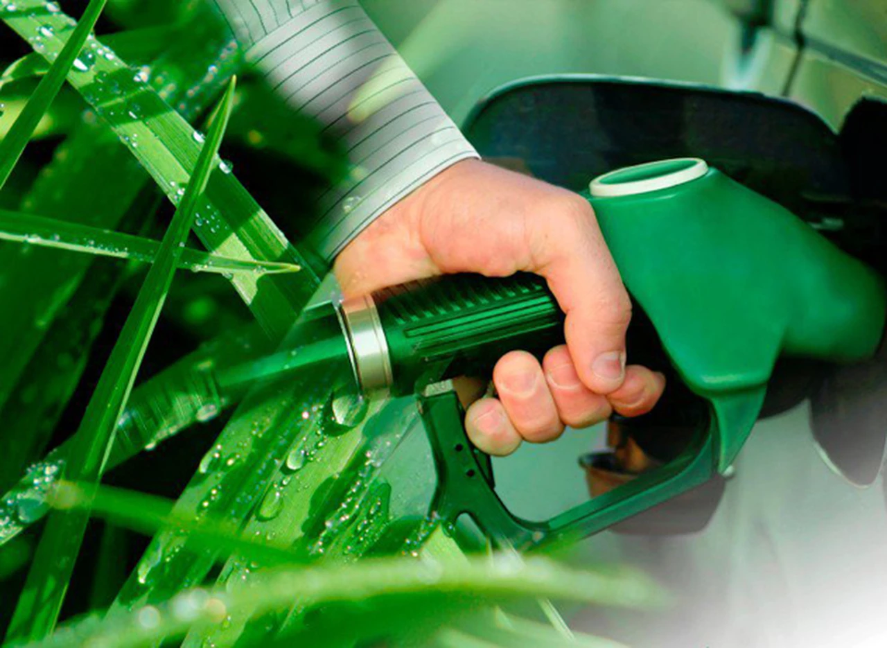 Nación bajó precio del bioetanol e industriales advierten por pérdidas millonarias