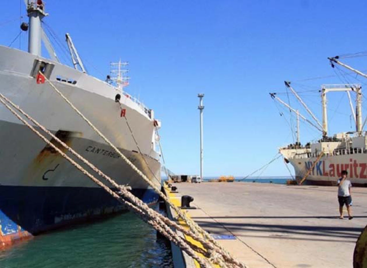 Senadores patagónicos piden rechazar el DNU que eliminó los reembolsos para puertos de la región