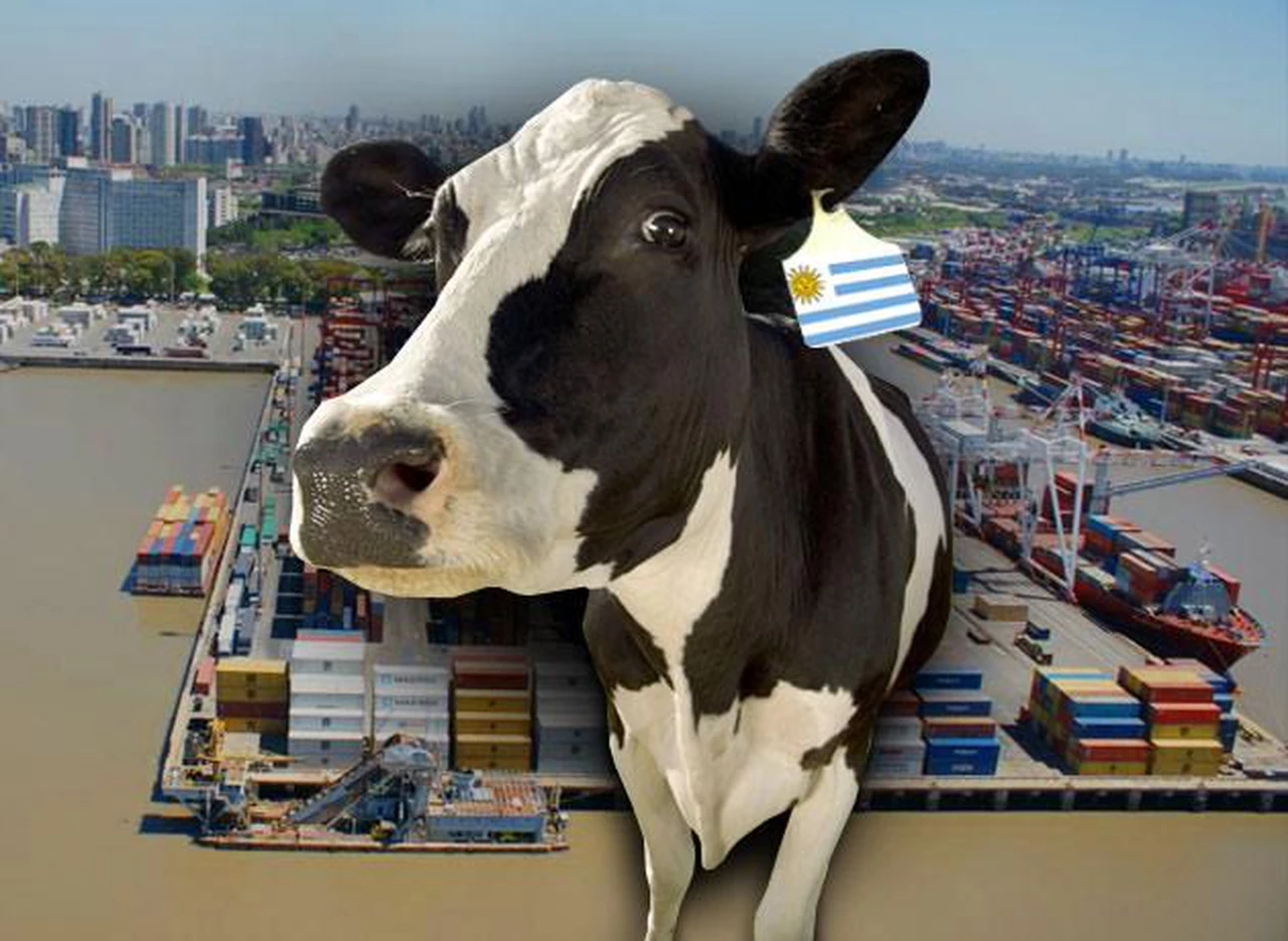 Inédito: en el granero del mundo, argentinos comerán hamburguesas hechas con carne de Uruguay