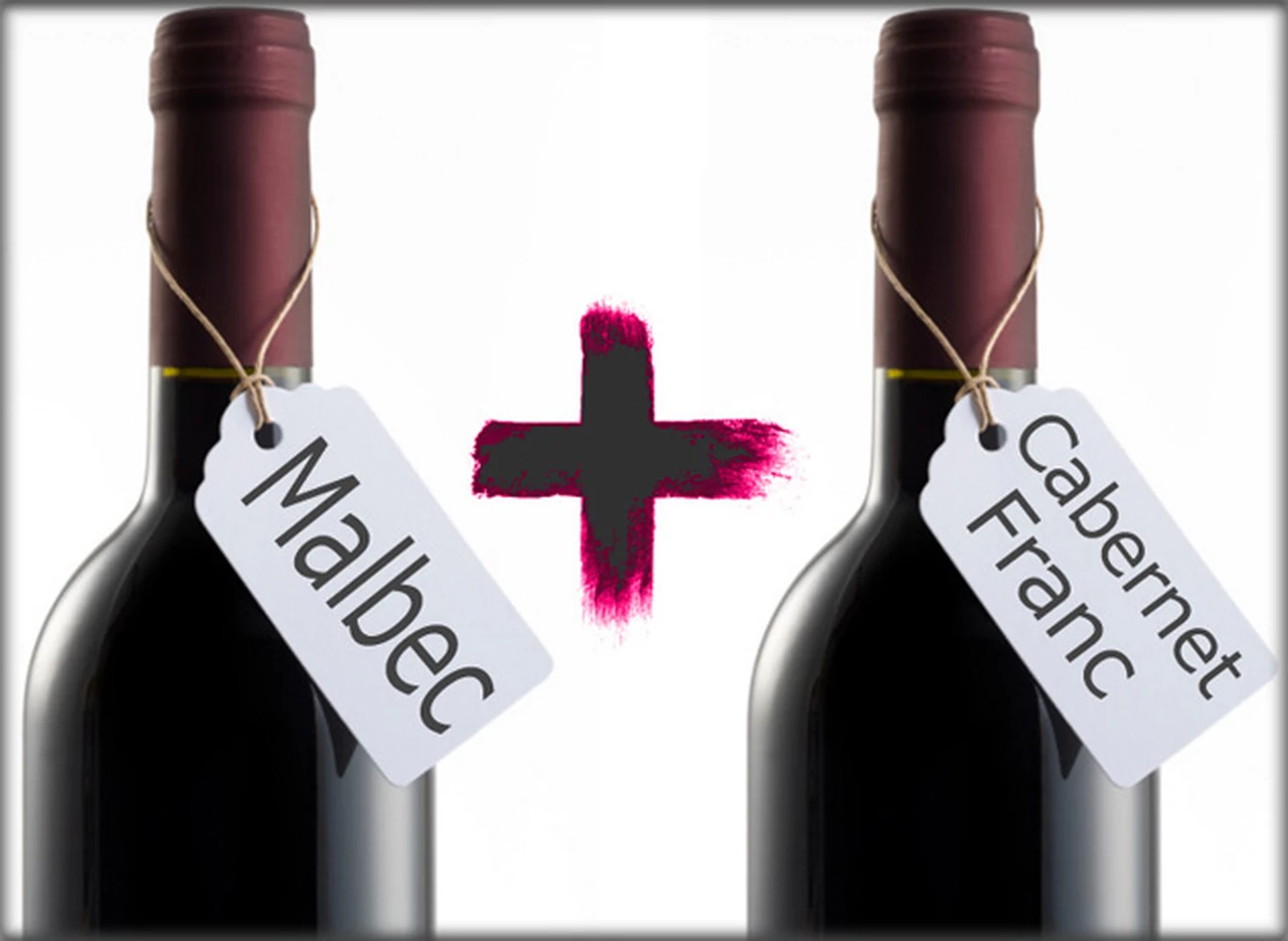 La pareja perfecta: 6 vinos recomendados que conjugan Malbec y Cabernet Franc