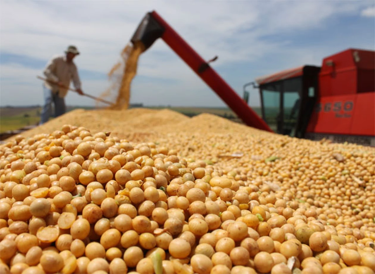 México podrí­a importar soja y maí­z de la Argentina en lugar de EE.UU.