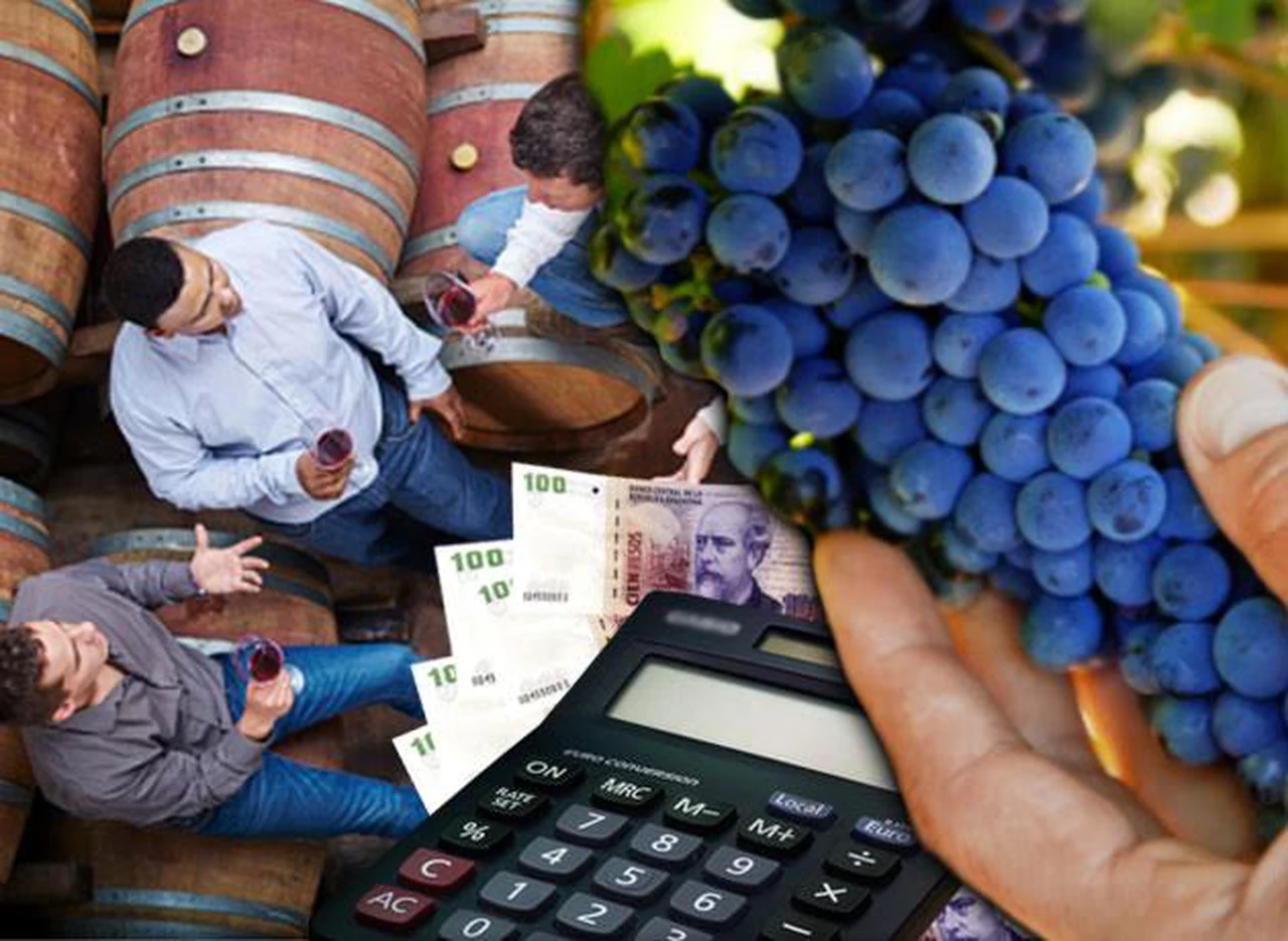 El vino sufre la caí­da del salario: bodegas vendieron 17 millones de litros menos en el primer semestre
