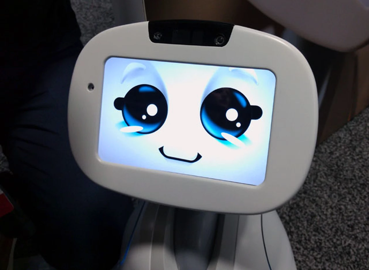Llegan los robots con "personalidad": acompañan, guí­an y hasta cortan el césped