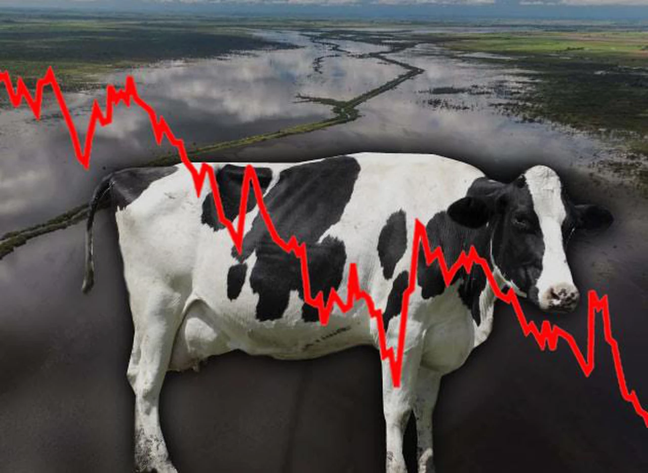 Se disparó el precio de los lácteos y el consumo bajó a niveles de 2002