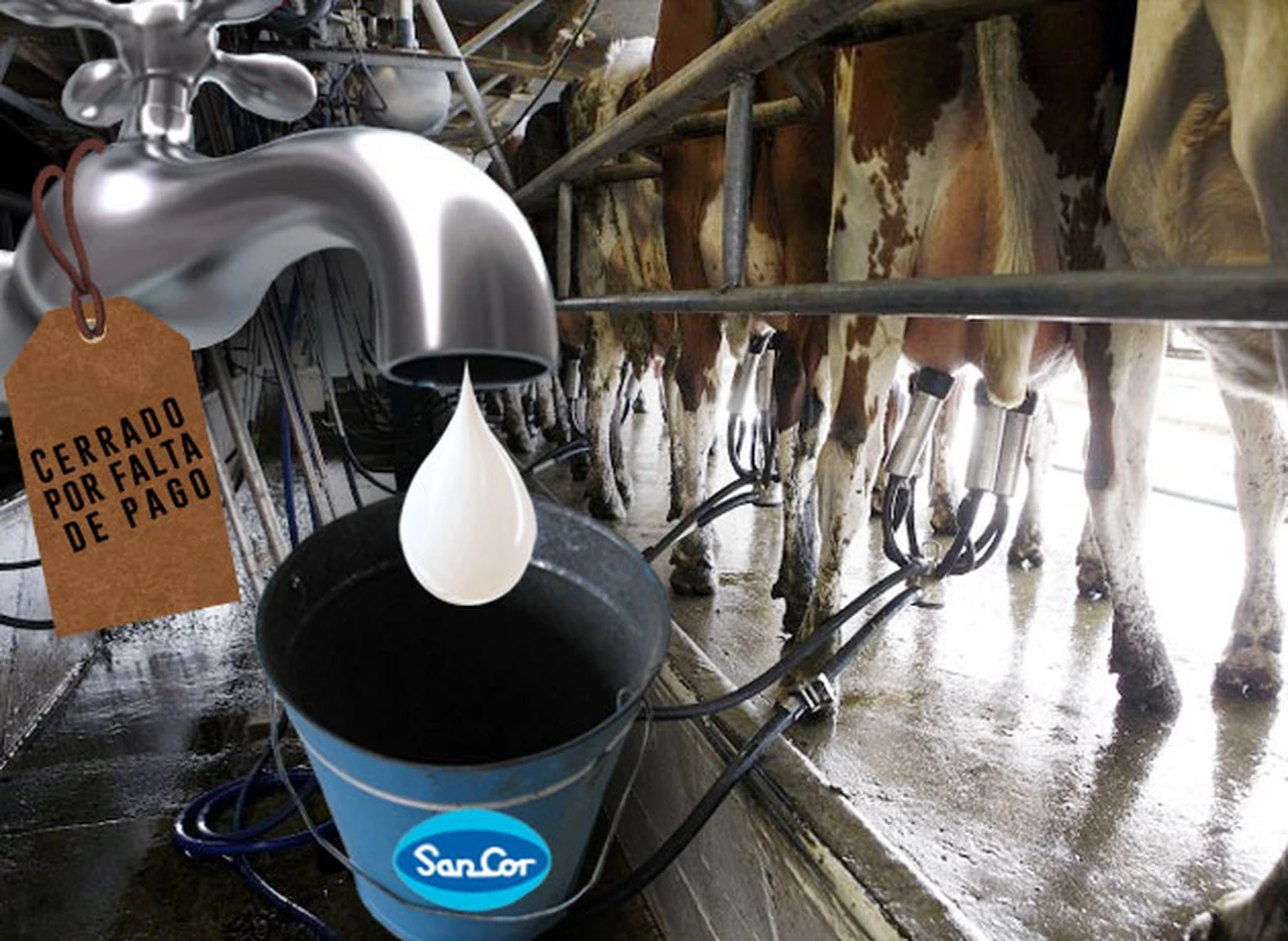 Ven un camión de SanCor y lloran: tamberos ponen "cepo" a la leche y ya escasean productos