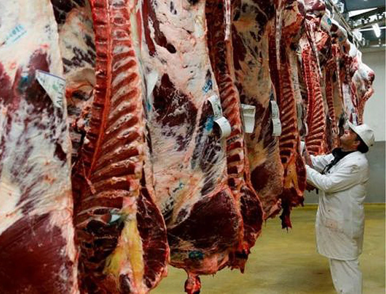 Frigorí­ficos piden medidas proexportaciones para que no baje precio de la carne
