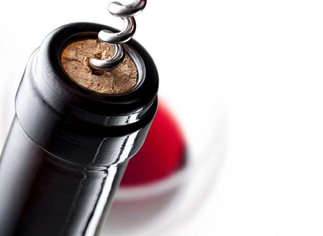 ¿En busca de vinos nuevos?: 5 etiquetas recién llegadas y que hay que probar 