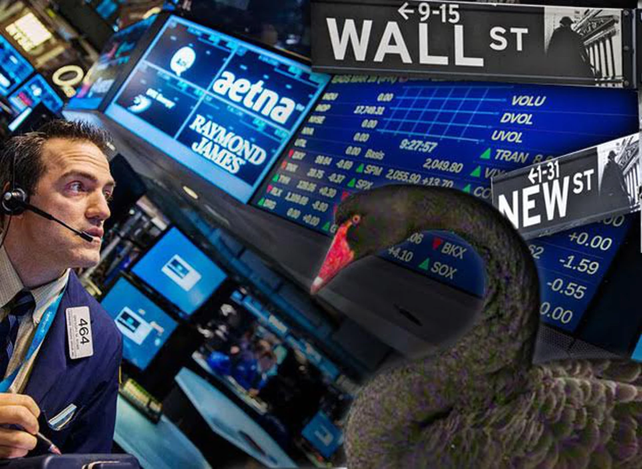 Un nuevo "cisne negro"  sobrevuela entre Wall Street y Washington y pone muy nerviosos a los inversores 