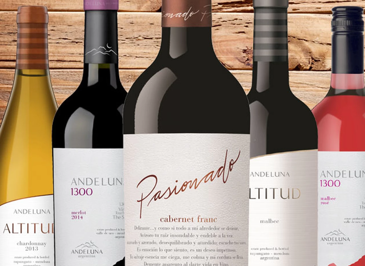 Recomendados: 5 vinos de Andeluna para conocer qué ofrece la bodega en alta gama