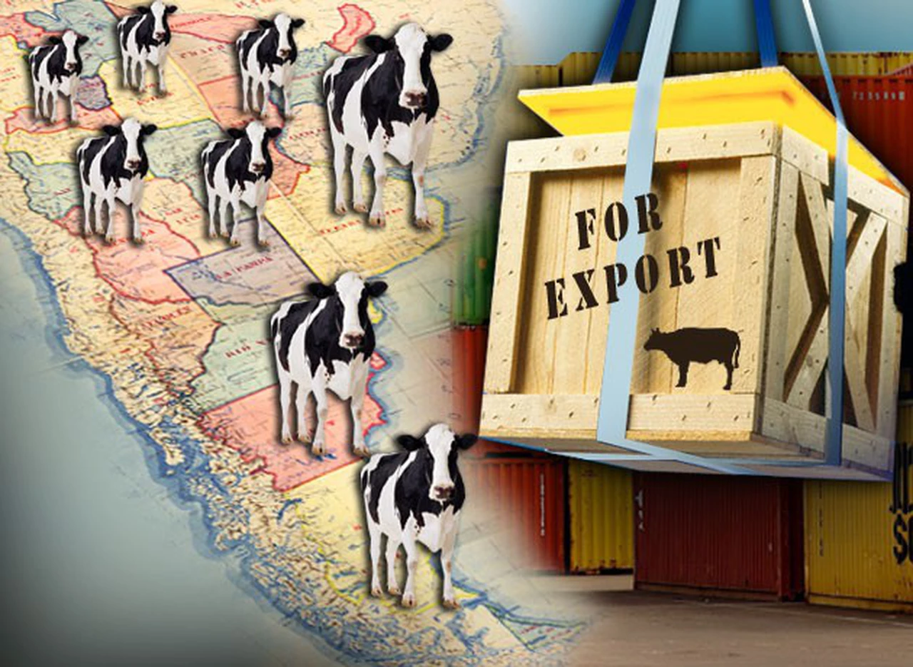 Las exportaciones de carne argentina crecen casi 70% y alcanzan el mayor nivel en 9 años 