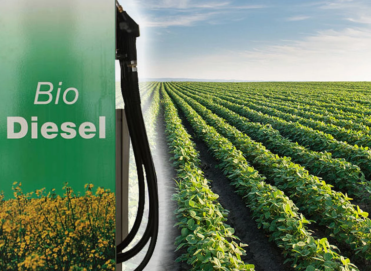 Así­ funciona una planta de última generación que elabora biodiesel en la Argentina  