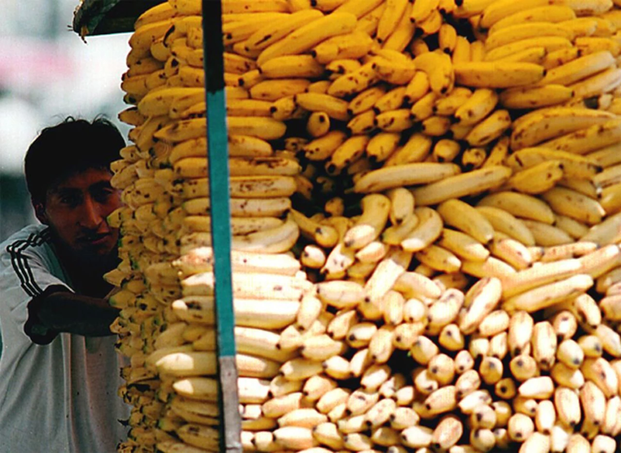 "Bananazo" en Plaza de Mayo: regalaron 30.000 kilos para protestar por importaciones y precios