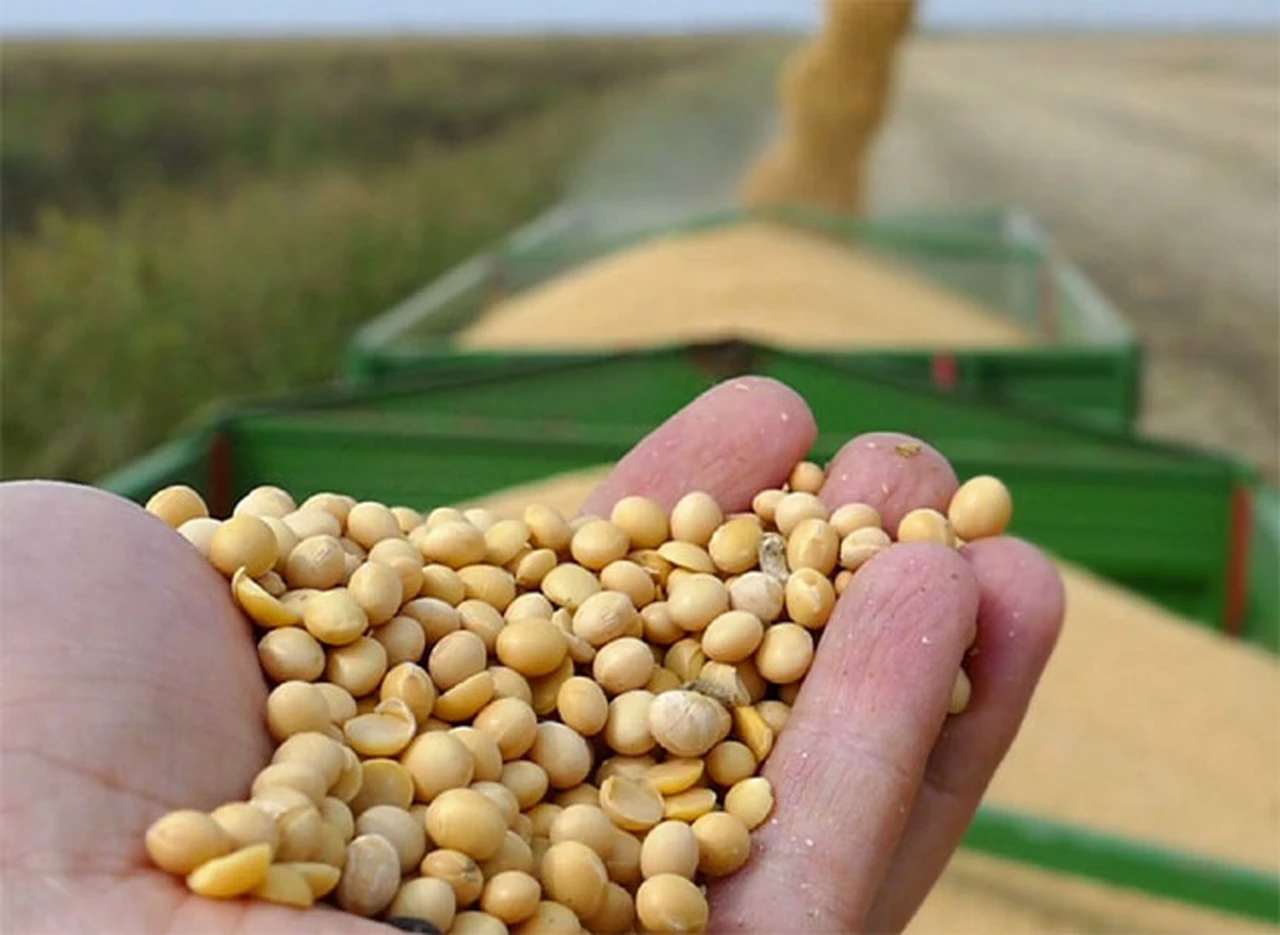 Tras freno de EE.UU. al biodiésel, aceiteros creen que se desplomará la soja