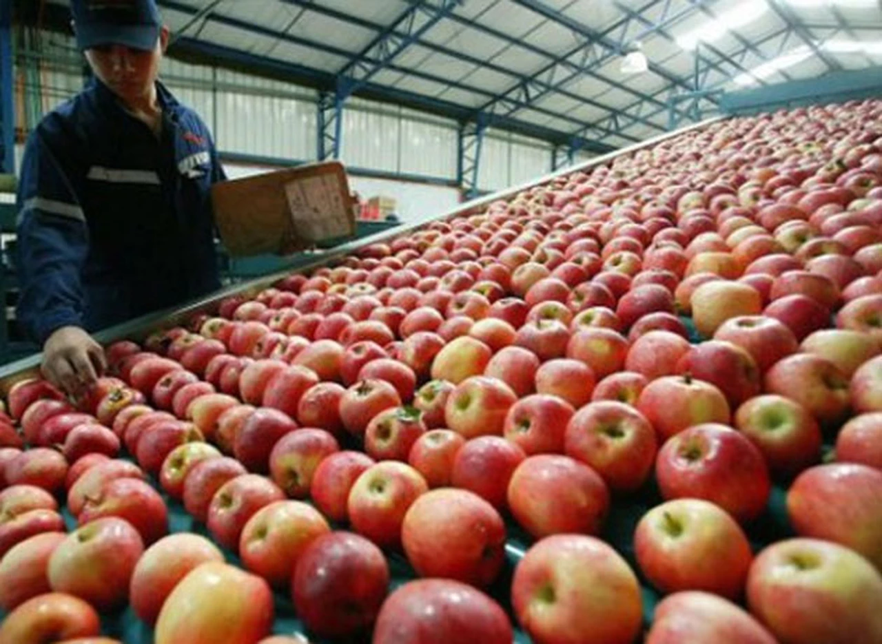 La AFIP lanza un plan de pagos para productores de peras y manzanas