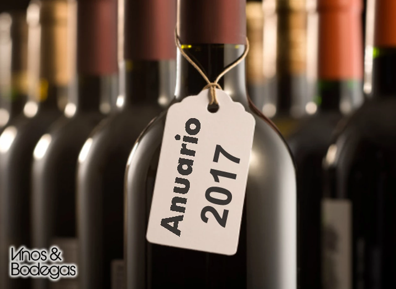 Anuario Vinos y Bodegas 2017: 40 de las mejores etiquetas lanzadas este año que no podés dejar de probar 