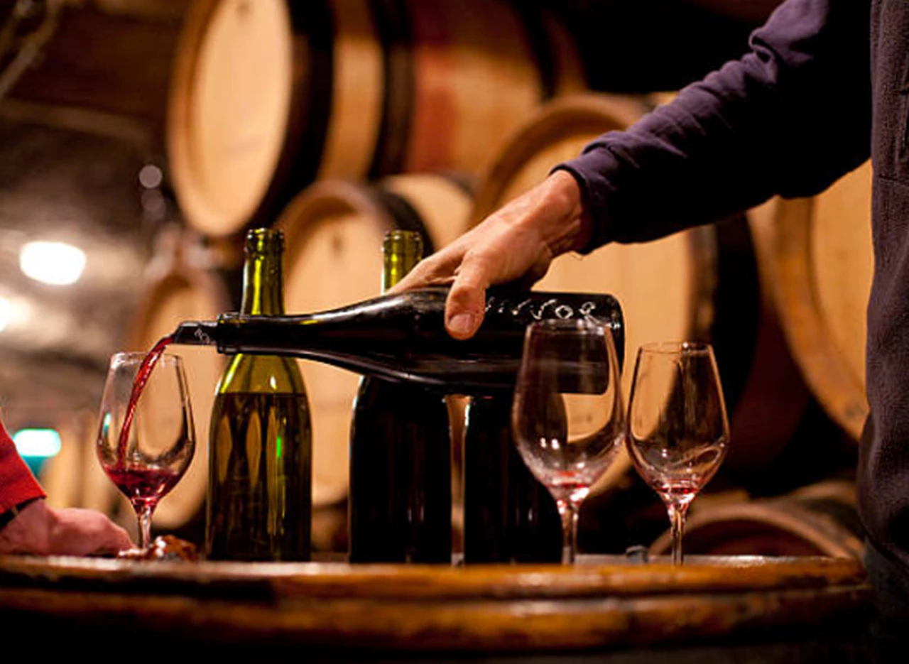 La producción de vinos en el mundo alcanzó su nivel más bajo de los últimos 60 años 