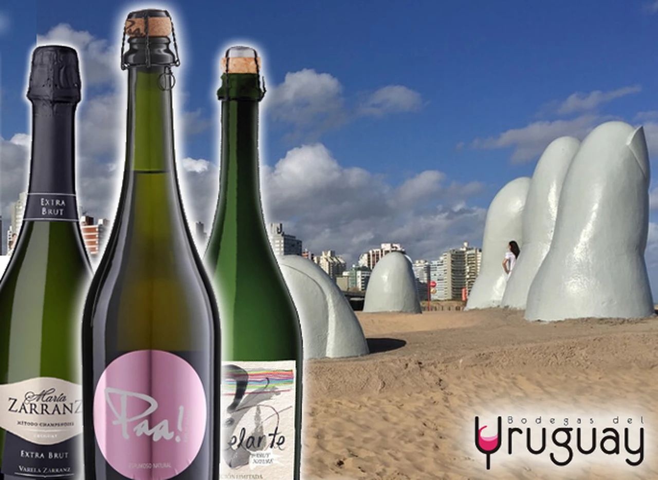 ¿Vacaciones en Uruguay?: diez vinos espumantes producidos en ese paí­s que tenés que probar