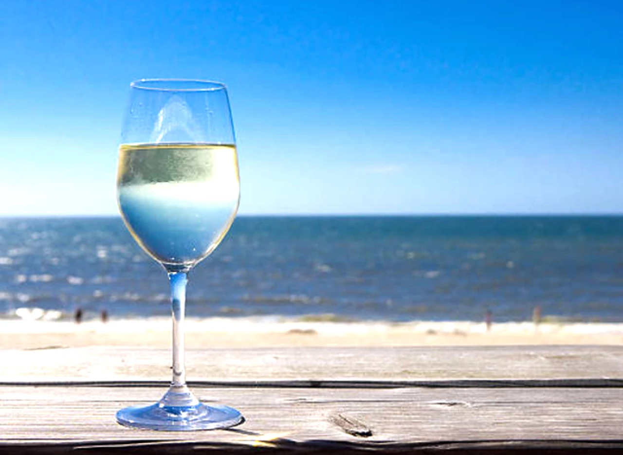 ¿Estás en Punta del Este?: 7 vinos blancos uruguayos ideales para acompañar frutos de mar