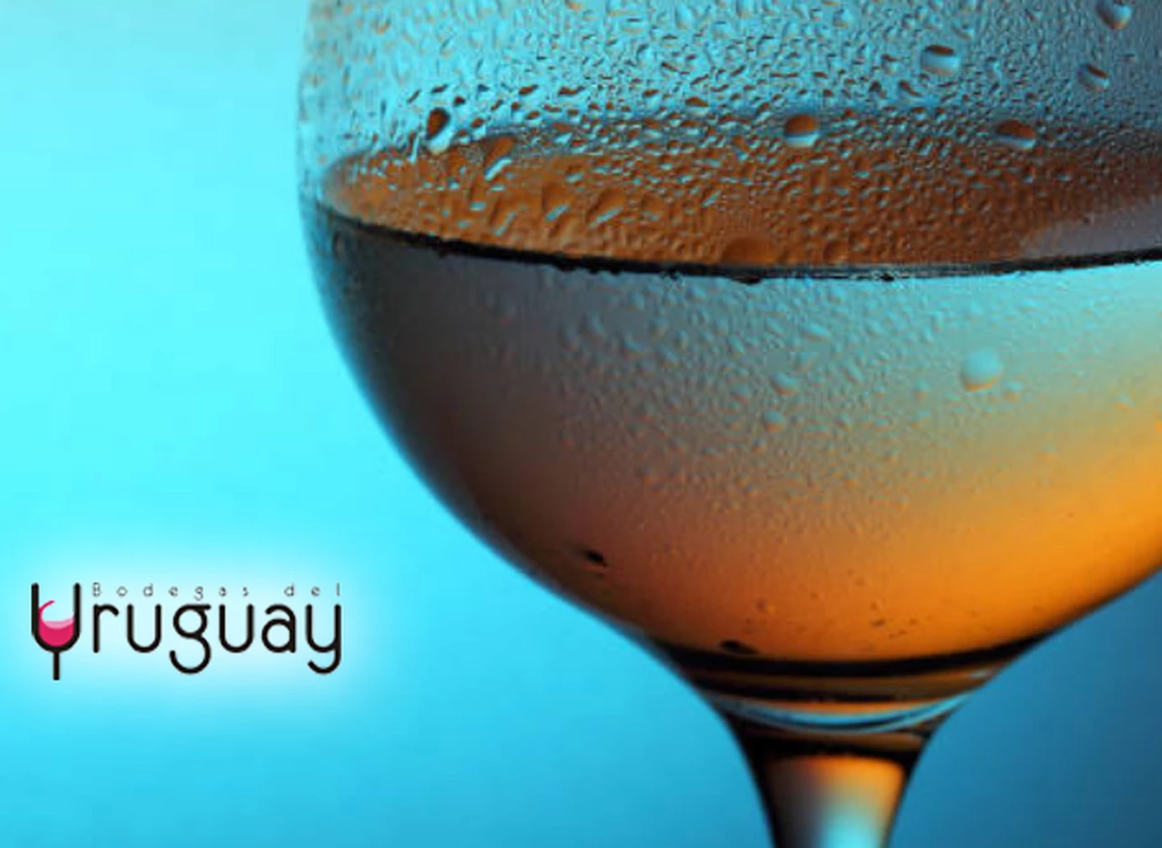 ¿De vacaciones en Uruguay?: conocé estos 8 vinos rosados para salir de lo común 