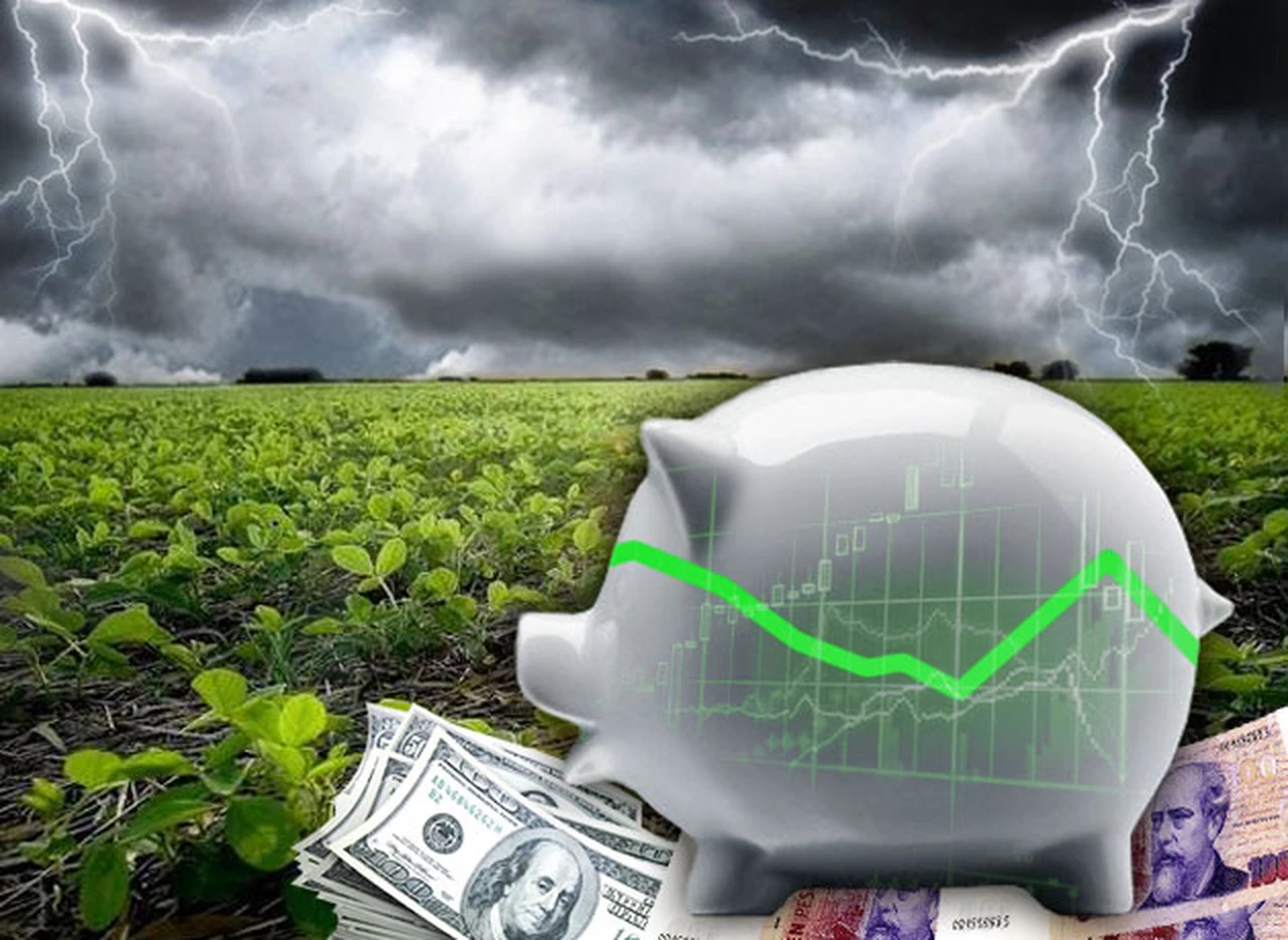En el peor momento del campo, fondos de inversión agrí­cola se reconvierten para sostener ganancias