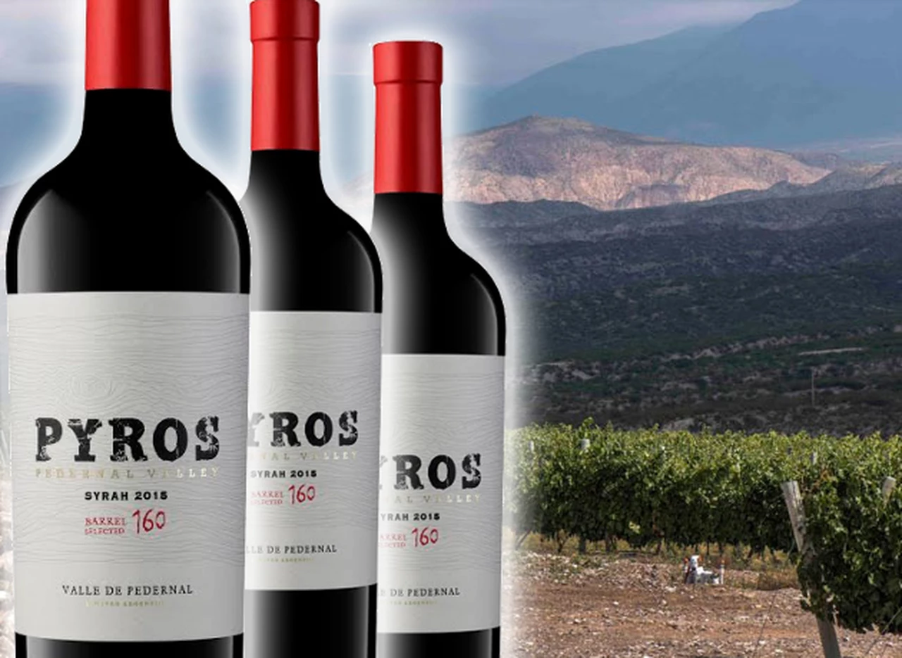 Un Syrah del Valle de Pedernal se consagró como el mejor vino argentino en un concurso internacional
