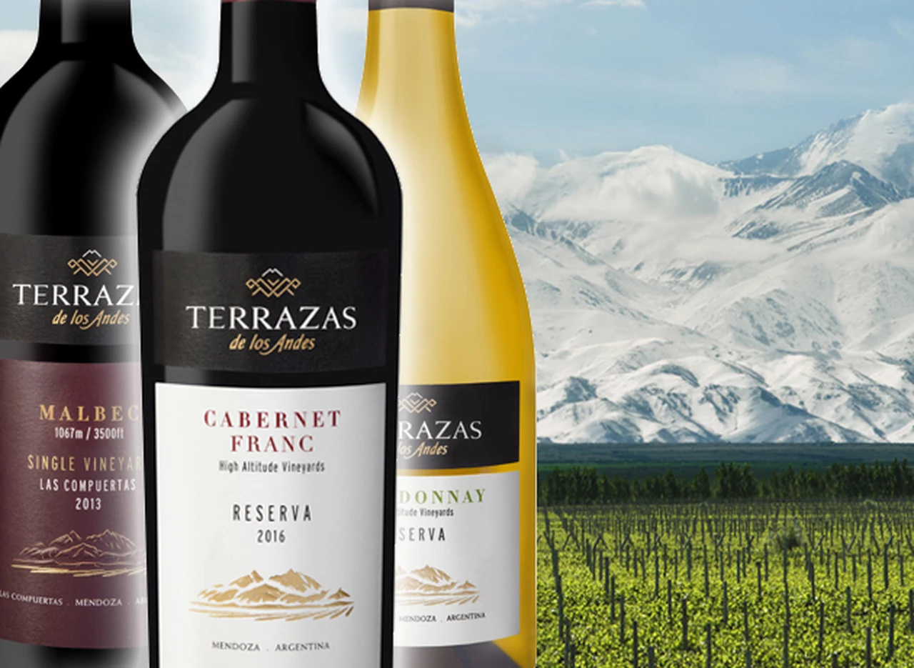 Para exigentes: cinco grandes vinos para conocer qué ofrece Terrazas de los Andes en la alta gama