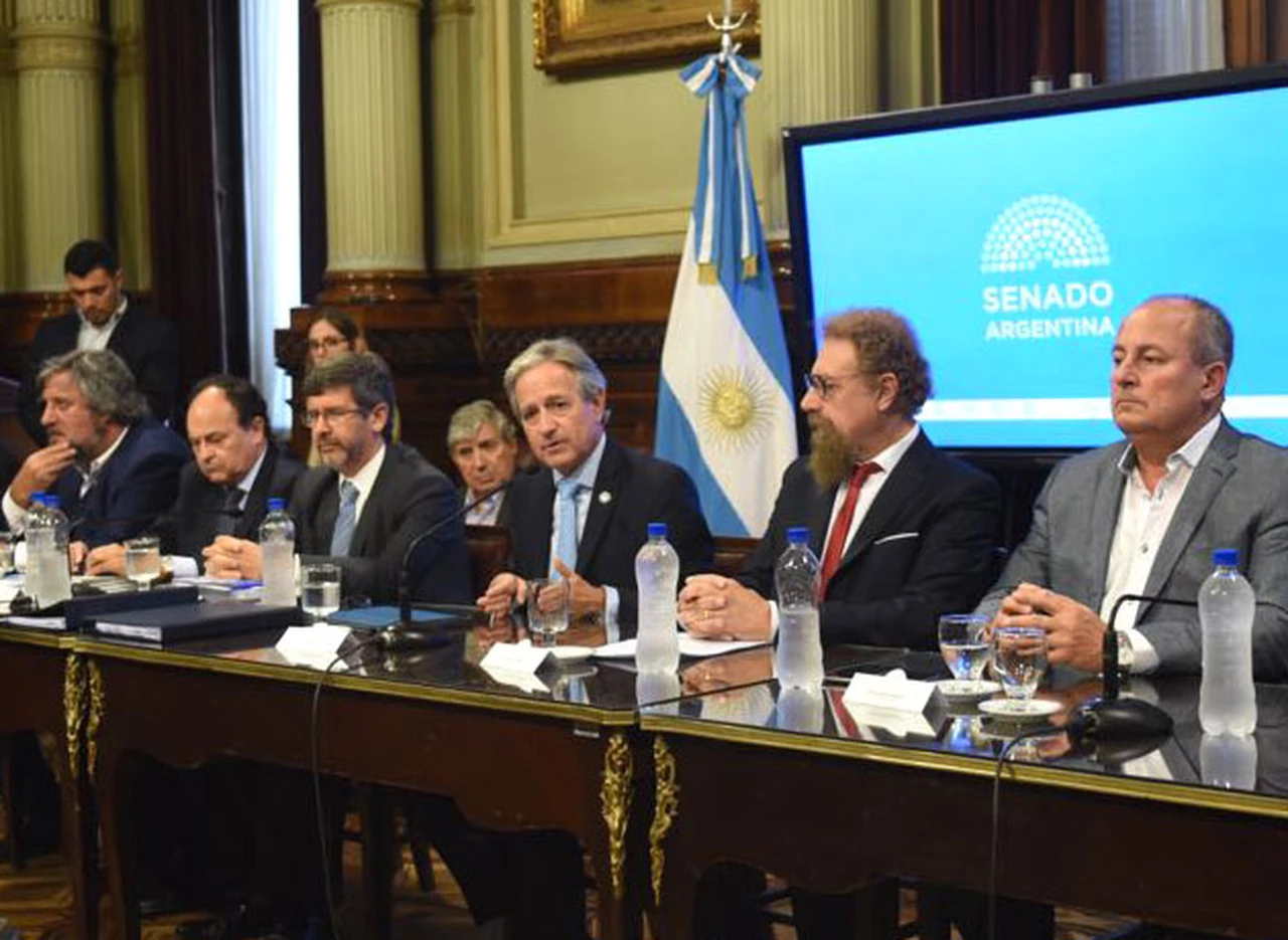 El ministro Ibarra dejó claro que el fin de la "ley corta" es acelerar inversiones