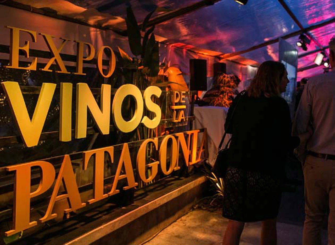 Vinos de la Patagonia: más de 30 bodegas participarán de una expo en Buenos Aires 