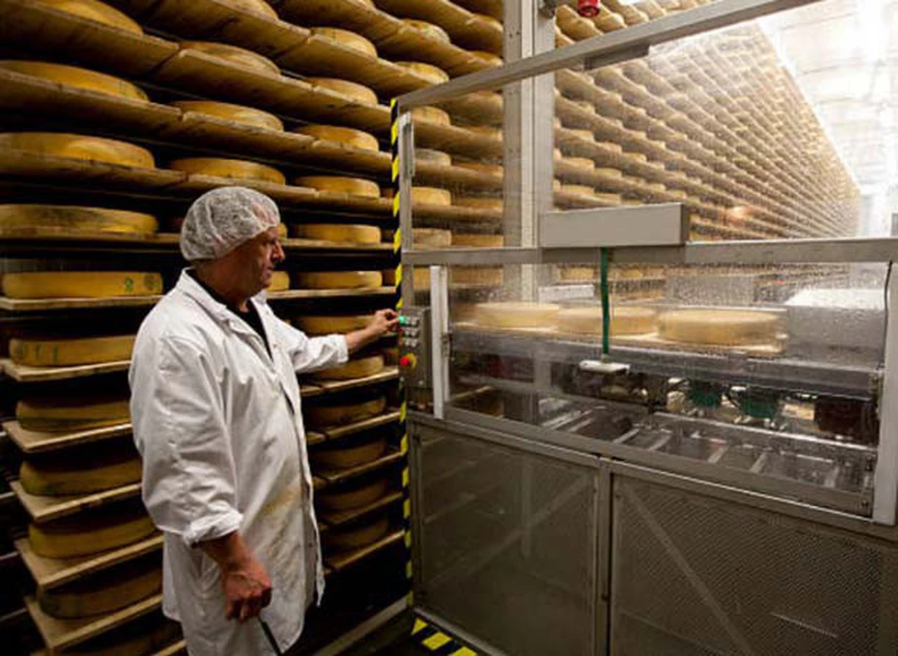 La Argentina pasó a formar parte de un selecto grupo de productores mundiales de queso 