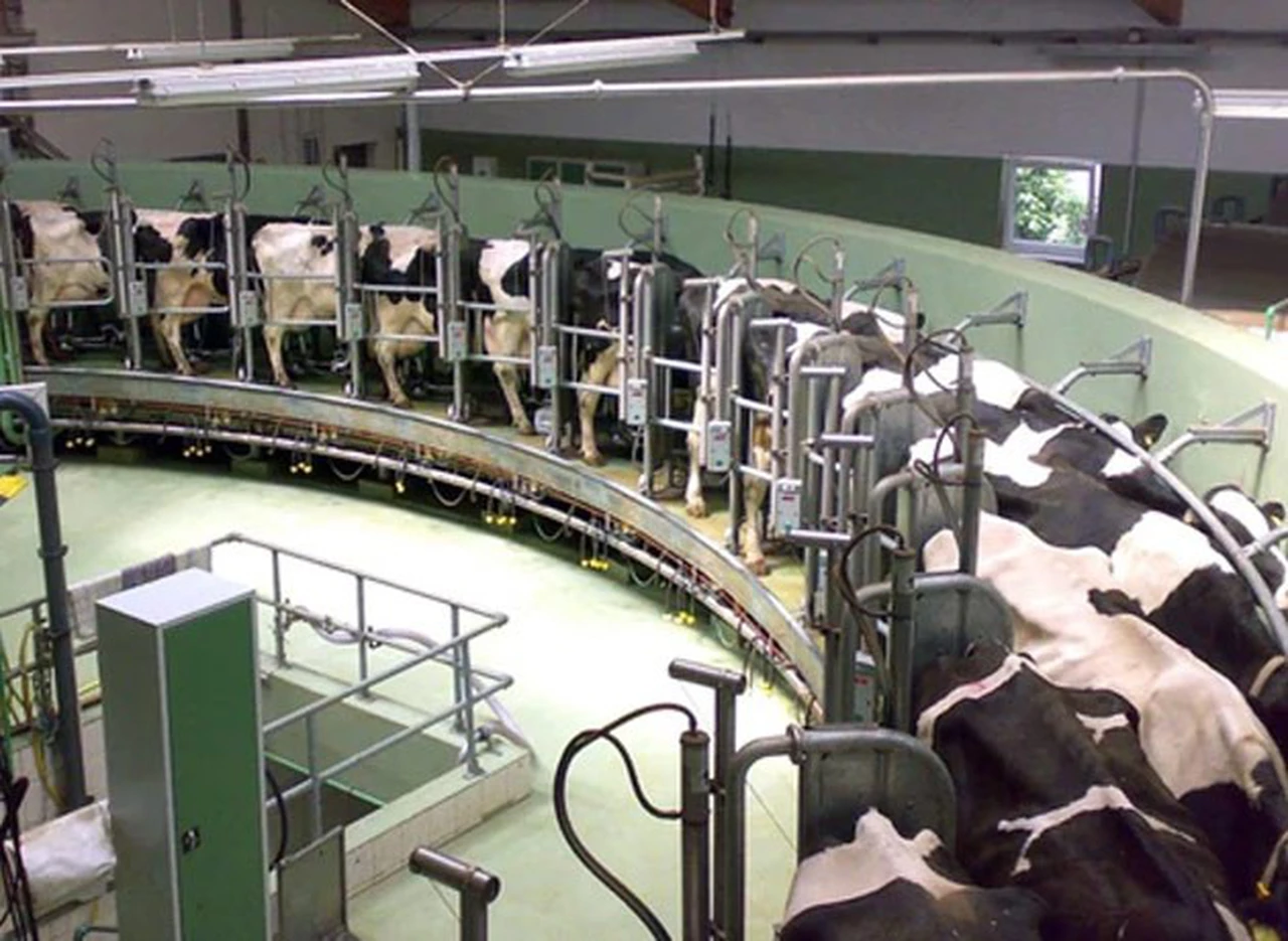 A pesar de la crisis en el sector lechero, instalan el primer tambo-fábrica robotizado
