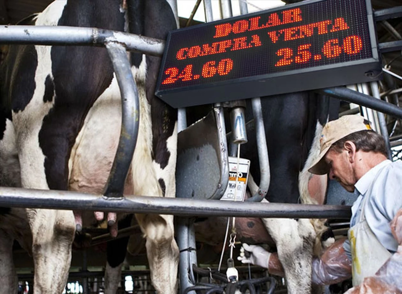 La devaluación dejó en shock a la industria láctea: se encarecen los insumos y no hace pie en el mercado exportador