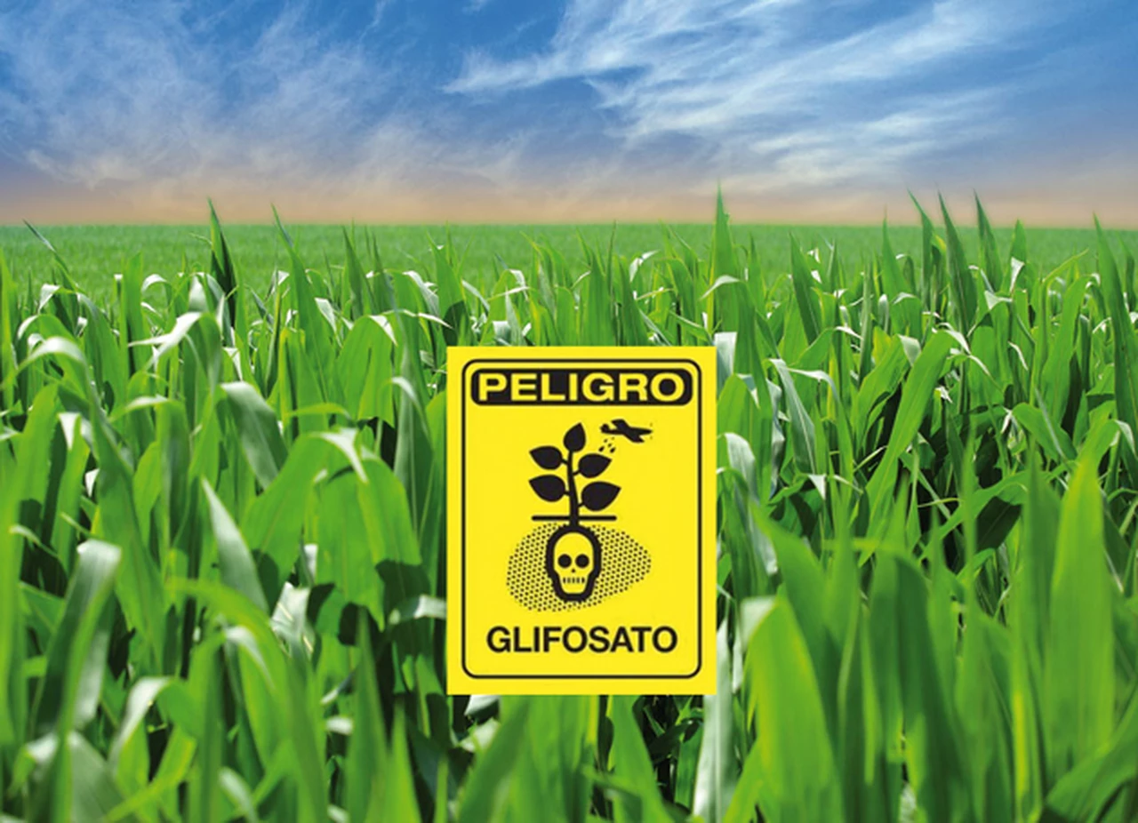 Qué es el glifosato, el controvertido agroquímico más utilizado en el mundo