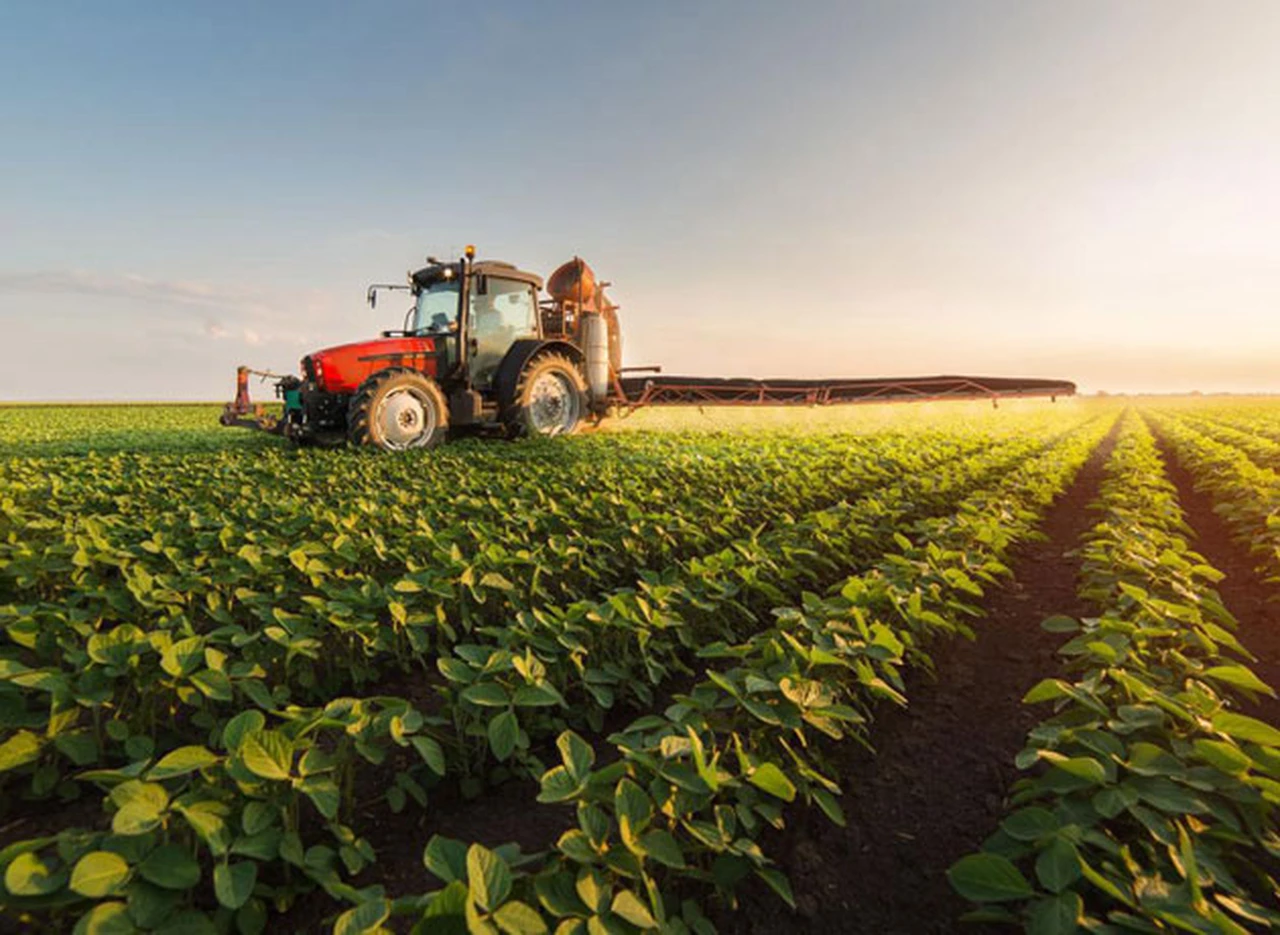 Las Pymes del agro lideran las inversiones: acaparan 36% de las garantías financieras