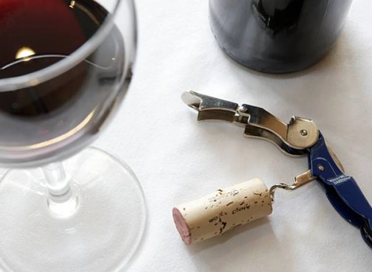 Cae el consumo de vinos Merlot en la Argentina: ¿llegará el resurgimiento? 