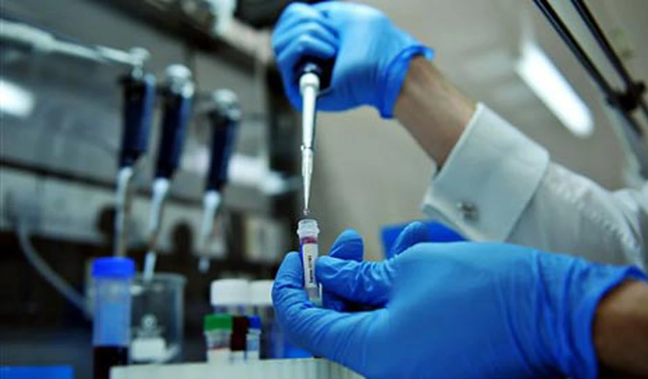 Pfizer quiere elaborar hasta 20 millones de dosis de vacunas contra Covid-19 para fines del 2020