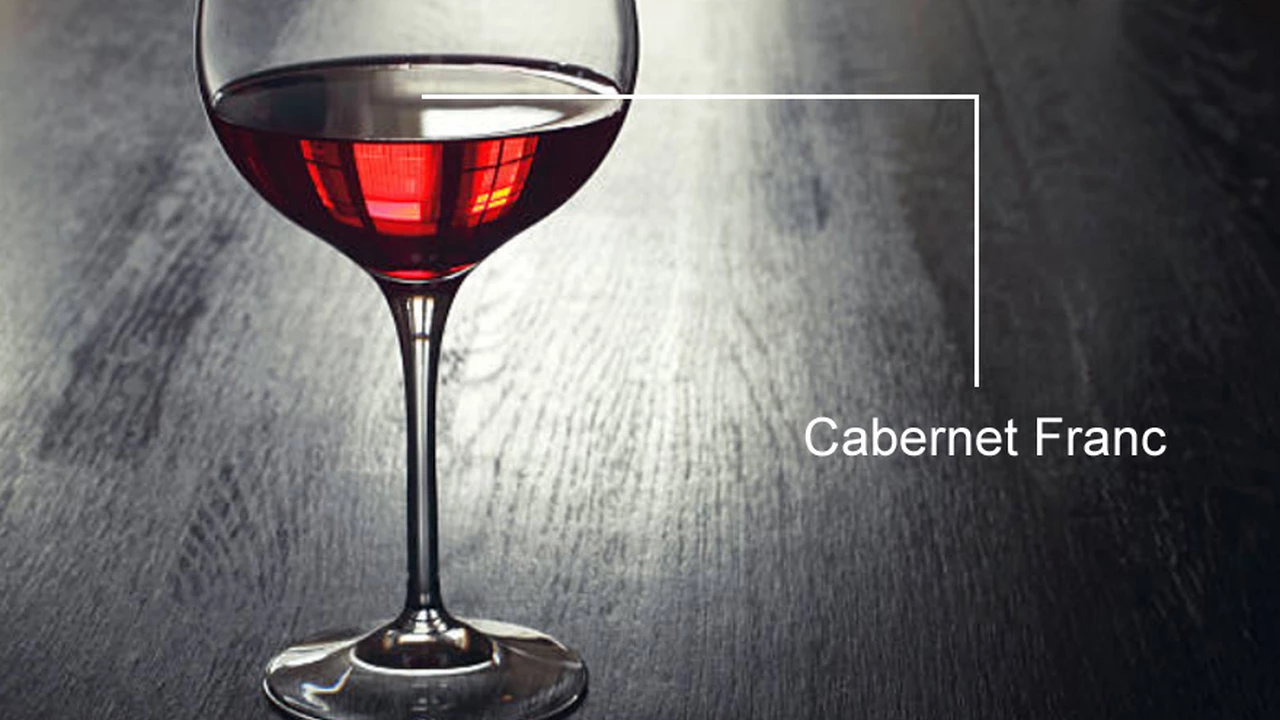 Cabernet Franc: todo lo que hay que saber y 5 vinos recomendados