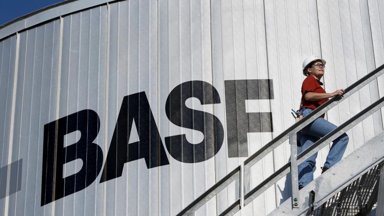 Basf cerró la compra del negocio de semillas de hortalizas de Bayer