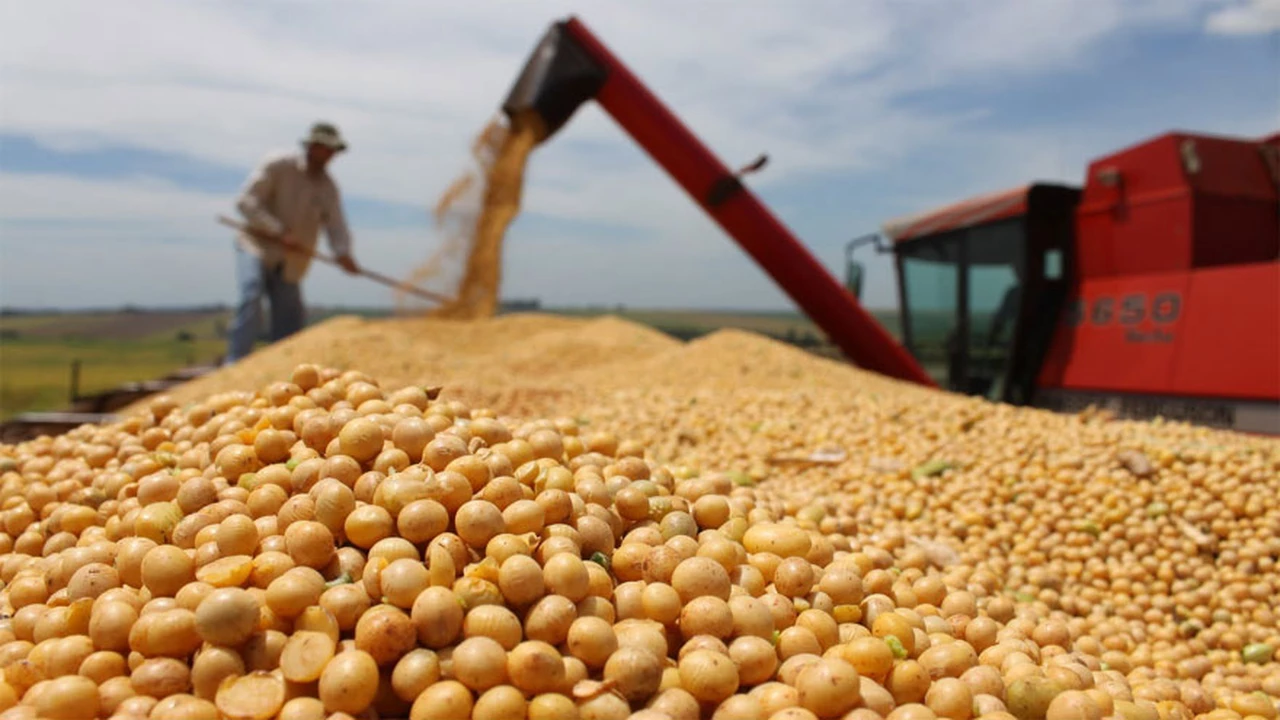 Cerealeras aprovecharon y adelantaron exportaciones por 6 millones de toneladas